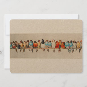 Antique Perch of Birds Hector Giacomelli Inbjudningar