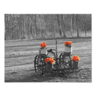 Antique Plow Fototryck