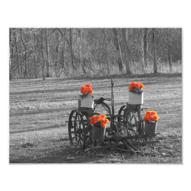 Antique Plow Fototryck (Framsidan)