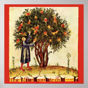 ANTIQUE POMEGRANATE TRÄD POSTER