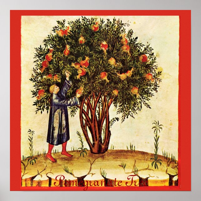 ANTIQUE POMEGRANATE TRÄD POSTER (Framsidan)