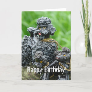 Antique Pudel, Grattis på födelsedagen! Kort