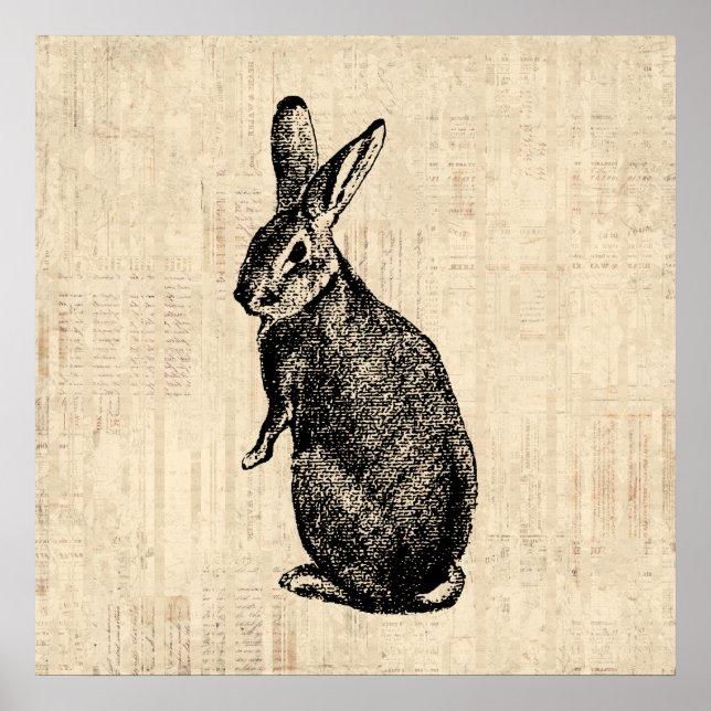 Antique Rabbit Illustration Bunny Art med skript Poster (Framsidan)