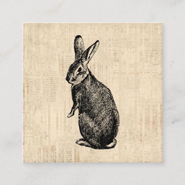 Antique Rabbit Illustration Bunny Art med skript Tilläggskort (Framsida)
