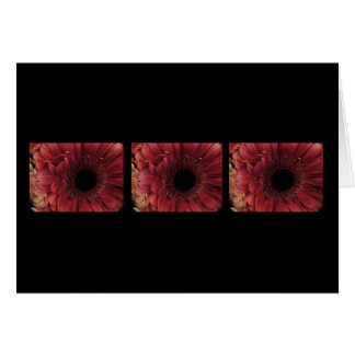 Antique Red (trio) Hälsningskort