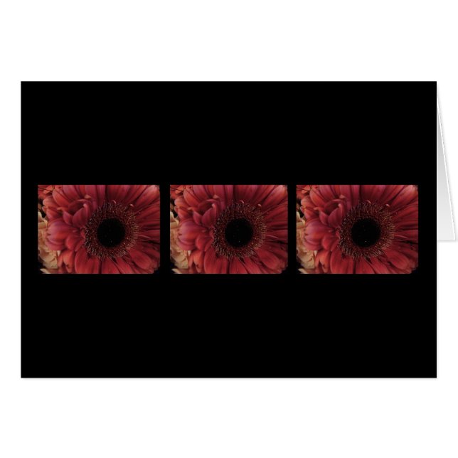 Antique Red (trio) Hälsningskort (Framsidan Horizontal)