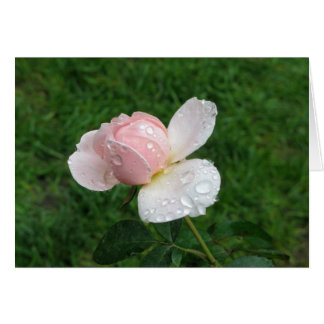 Antique Ro 3 Hälsningskort