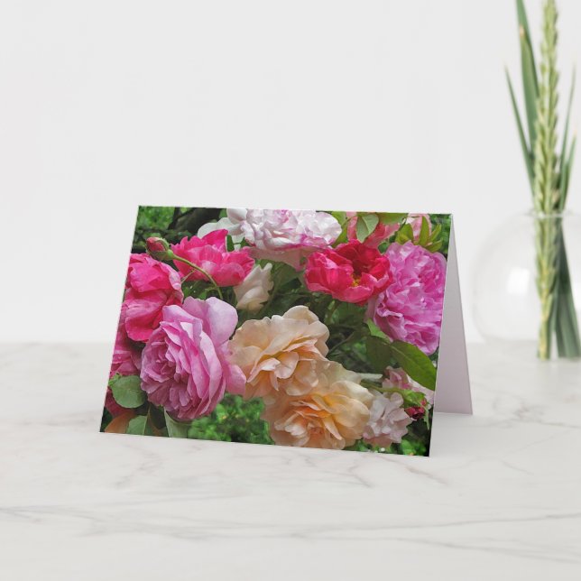 Antique Ro Birthday Card Kort (Framsida)