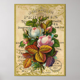 Antique Ro Parfym Butterflies Poster