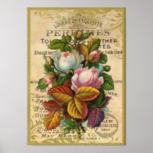 Antique Ro Parfym Butterflies Poster