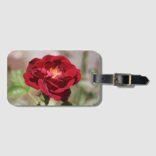 Antique Röd ros Luggage Tag Bagagebricka