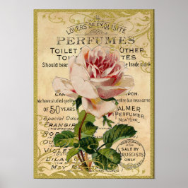 Antique Rosa ros Parfym Poster