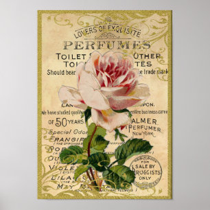 Antique Rosa ros Parfym Poster