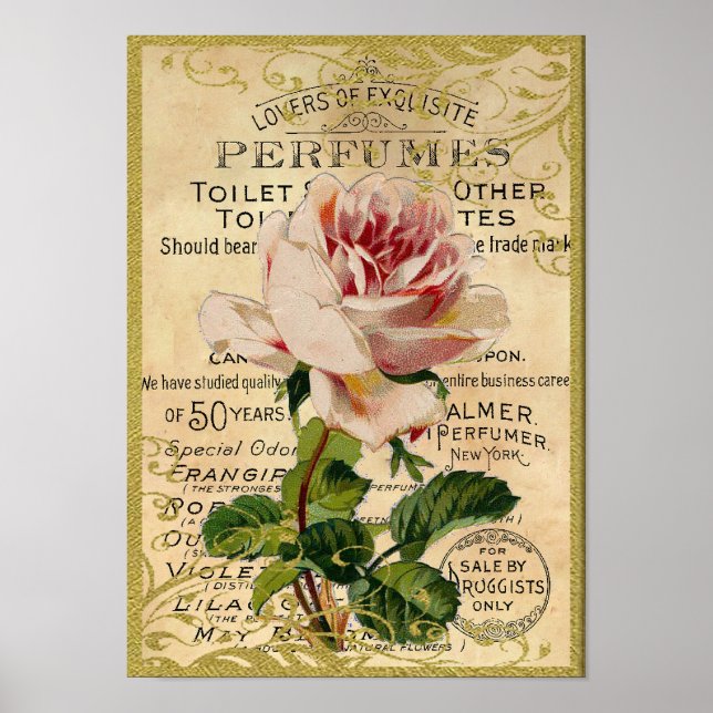 Antique Rosa ros Parfym Poster (Framsidan)