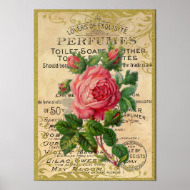 Antique Rosa ros Parfym Poster