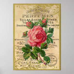 Antique Rosa ros Parfym Poster
