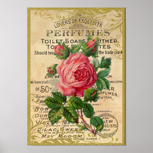 Antique Rosa ros Parfym Poster (Framsidan)