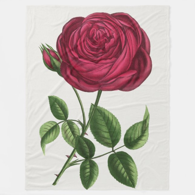 Antique Rose Lithograph, François-Frédéric Grobon Fleecefilt (Framsidan)