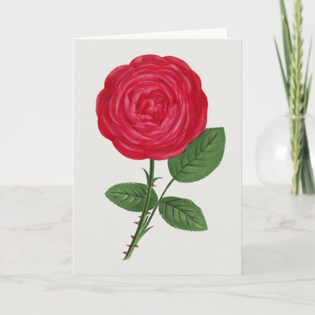 Antique Rose Lithograph, François-Frédéric Grobon Kort (Framsida)