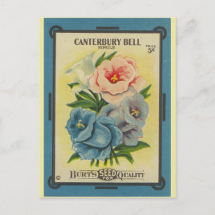 Antique Seed Packet Canterbury Klockor Vykort