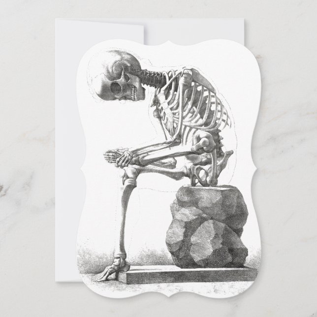 Antique Skeleton Anatomy: Gothic Halloween Medical (Framsida)