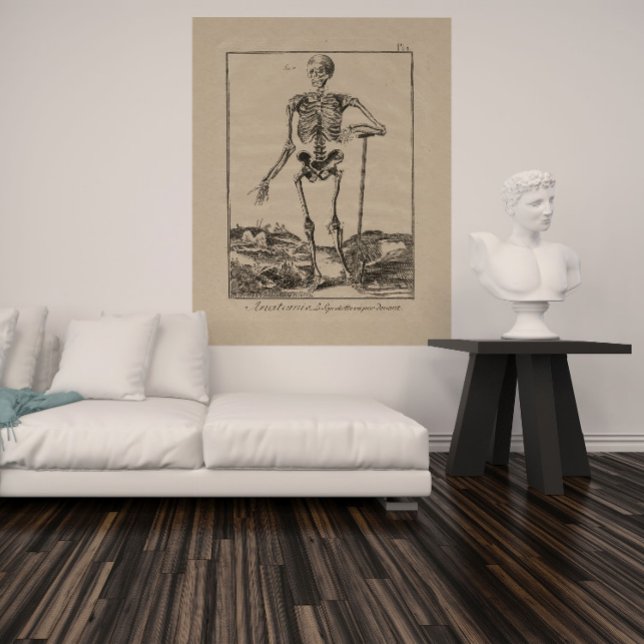 Antique Skeleton Human Anatomy Poster (Skapare uppladdad)
