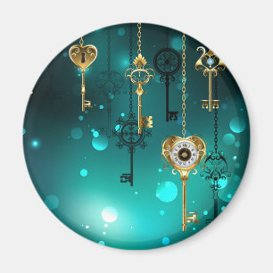 Antique Skeleton Nycklar on Grönt Background Magnet