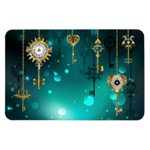 Antique Skeleton Nycklar on Grönt Background Magnet