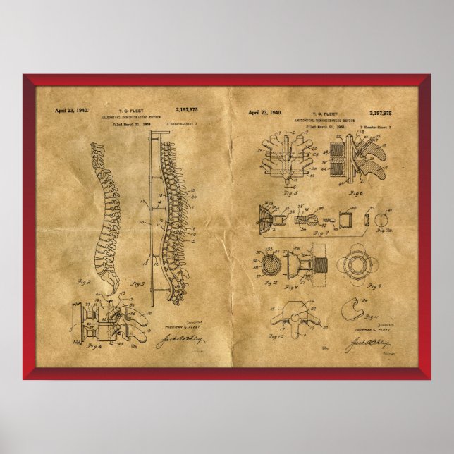 Antique Spine Drawing Poster (Framsidan)