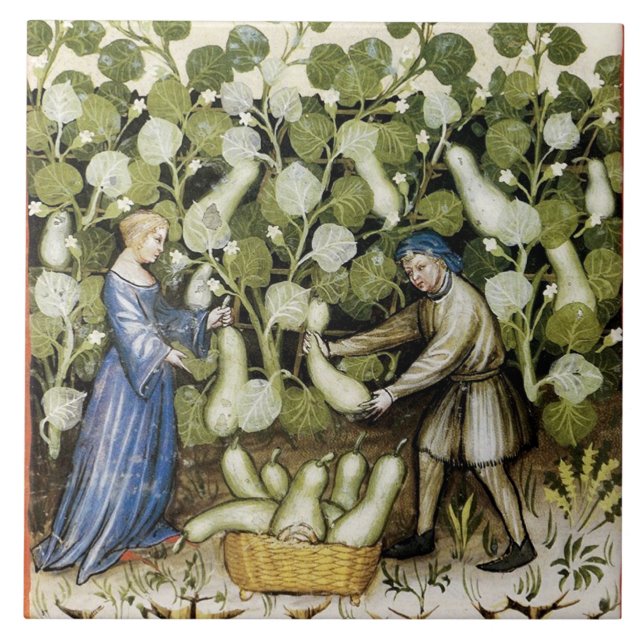 ANTIQUE SQUASH HARVEST KAKELPLATTA (Framsidan)