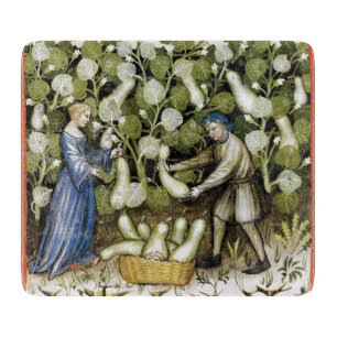 ANTIQUE SQUASH HARVEST Medieval Ministern