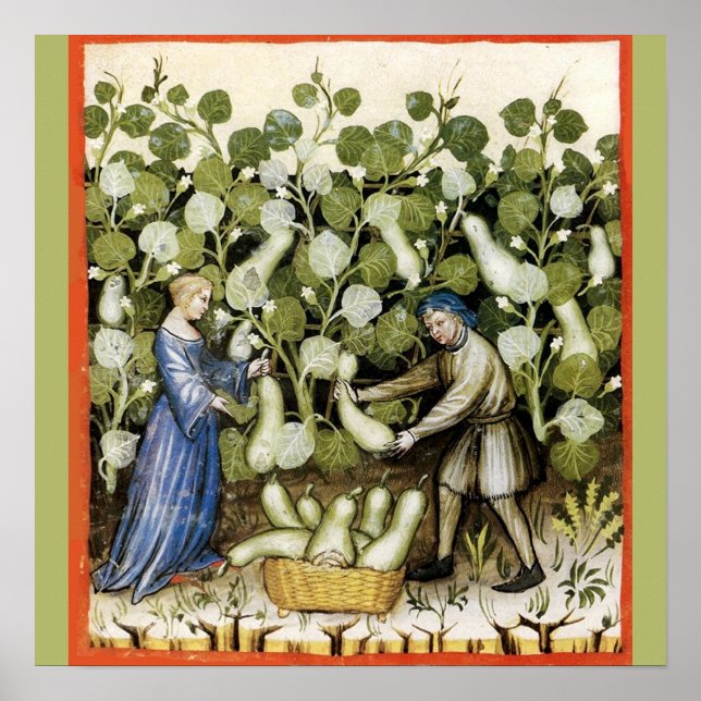 ANTIQUE SQUASH HARVEST POSTER (Framsidan)