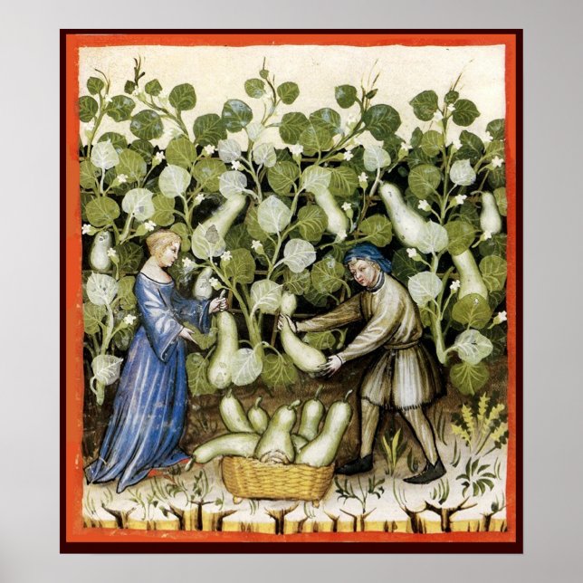 ANTIQUE SQUASH HARVEST POSTER (Framsidan)