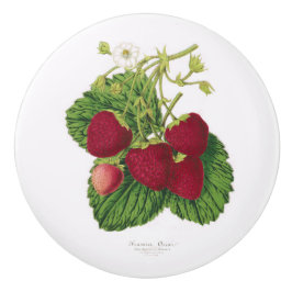 Antique Strawberry Skriv ut keramiskt nav Knopp