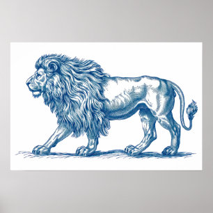 Antique teckning av en Lejon Poster