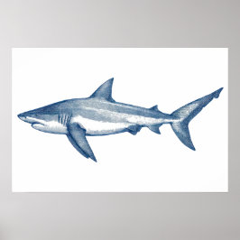 Antique teckning of Underbar White Shark Poster