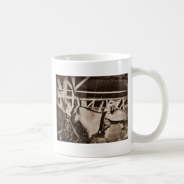Antique Tittar Horse Photo Kaffemugg (Höger)