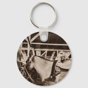 Antique Tittar Horse Photo Nyckelring