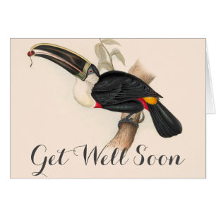 Antique Toucan Bird Wildlife Painting Hälsningskort