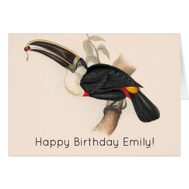 Antique Toucan Bird Wildlife Painting Hälsningskort (Framsidan Horizontal)