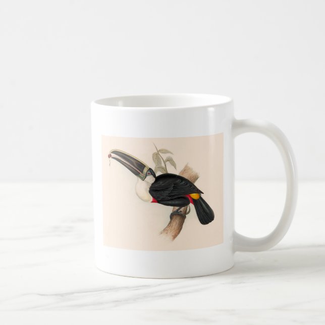 Antique Toucan Bird Wildlife Painting Kaffemugg (Höger)