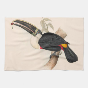 Antique Toucan Bird Wildlife Painting Kökshandduk
