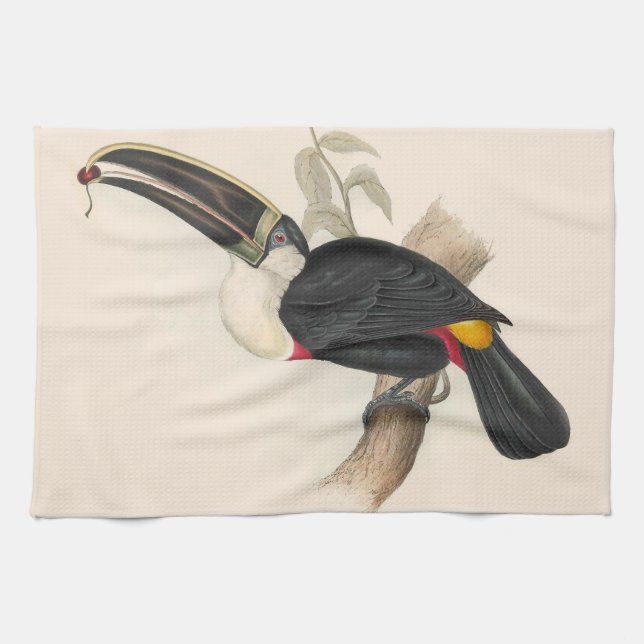 Antique Toucan Bird Wildlife Painting Kökshandduk (Horisontell)