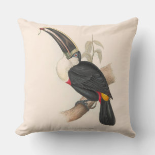Antique Toucan Bird Wildlife Painting Kudde