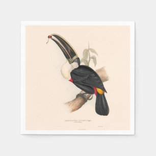 Antique Toucan Bird Wildlife Painting Pappersservett