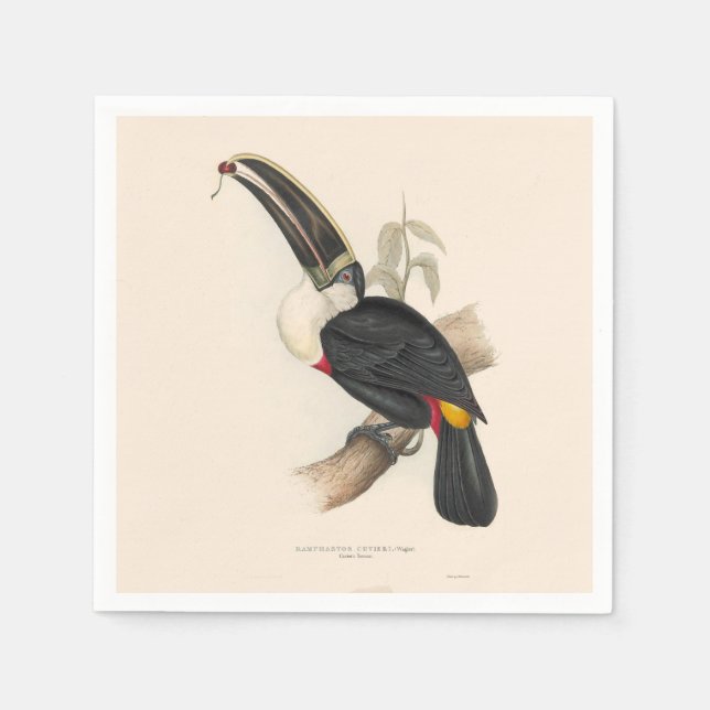 Antique Toucan Bird Wildlife Painting Pappersservett (Framsidan)
