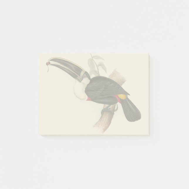 Antique Toucan Bird Wildlife Painting Post-it Block (Framsida)