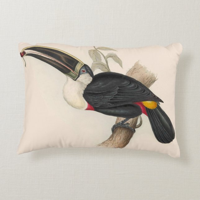 Antique Toucan Bird Wildlife Painting Prydnadskudde (Baksidan)
