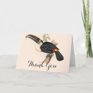 Antique Toucan Bird Wildlife Painting Tack Kort