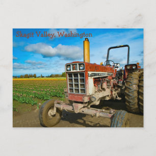 Antique Tractor in the Tulip Fält Vykort